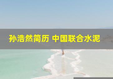 孙浩然简历 中国联合水泥